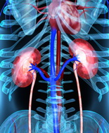 Fda amplia indicazione metformina ai pazienti con malattia renale da lieve a moderata